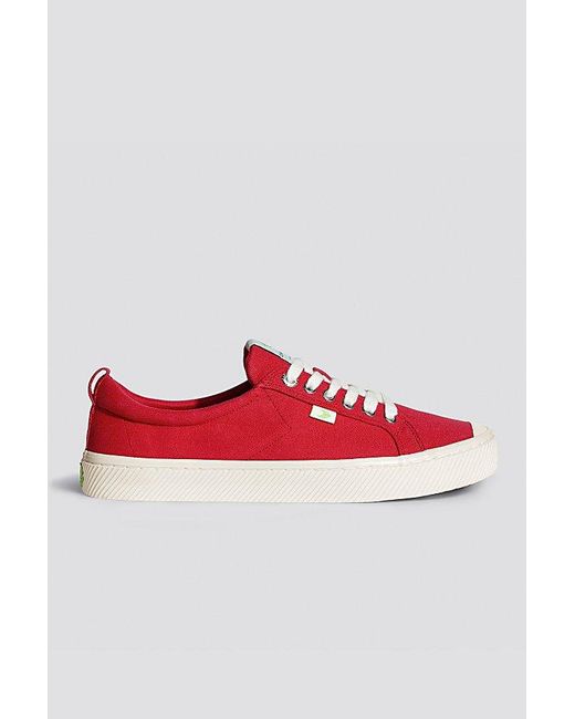 CARIUMA Red Oca Low Canvas Sneaker for men