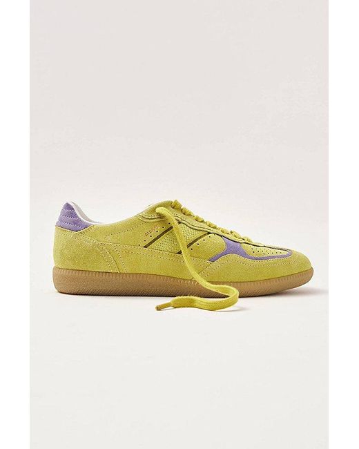 Alohas Yellow Tb. 490 Leather Sneakers