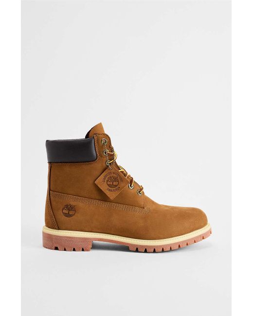 Timberland Brown Rust 6 Inch Premium Boots for men