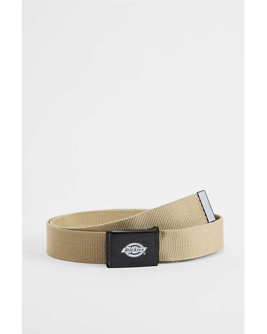 Dickies Multicolor Khaki Orcutt Belt for men