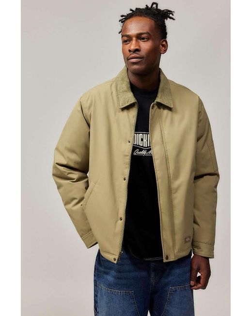 Dickies Natural Imperial Green Plain Jacket for men