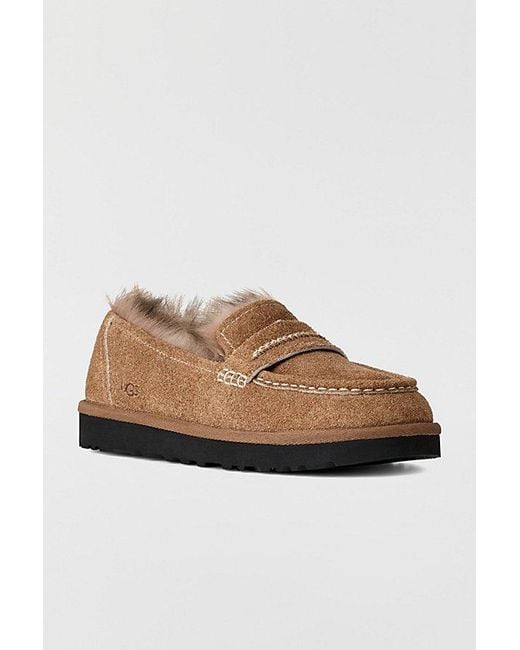 Ugg Brown Ellis Suede Loafers