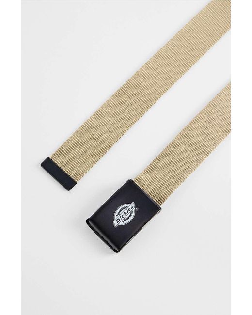 Dickies Multicolor Khaki Orcutt Belt for men