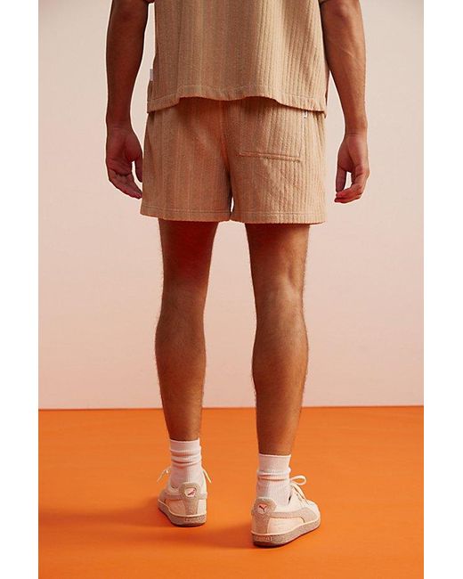 Standard Cloth Natural Striped Terry Short for men