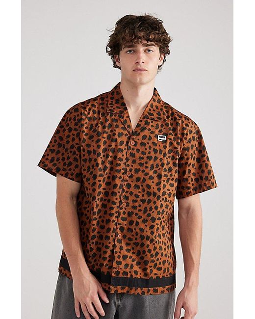 PUMA Brown Downtown Kitten Short Sleeve Shirt Top for men
