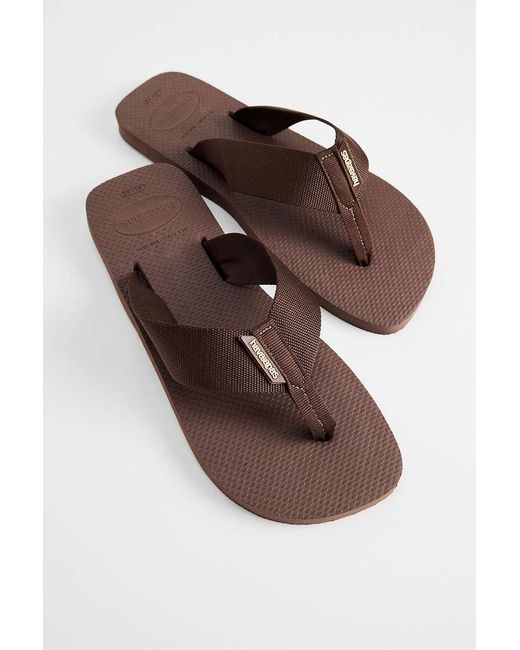 Havaianas Dark Brown Urban Basic Flip Flops for men