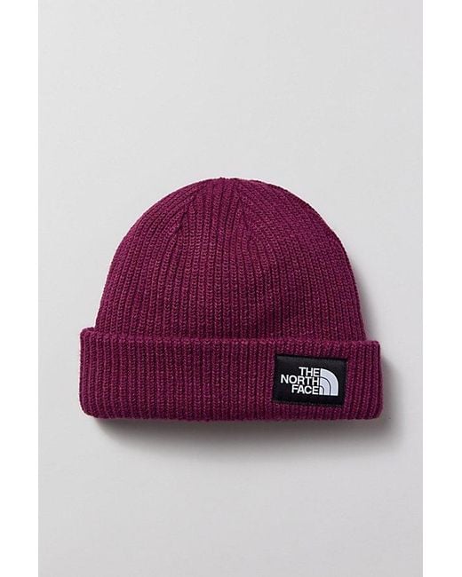 The North Face Purple Salty Dog Lined Knit Beanie for men