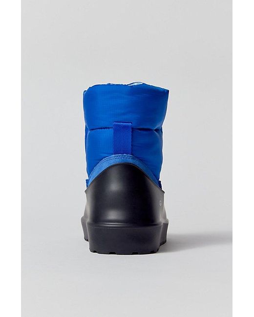 Ugg Blue Classic Maxi Toggle Bootie