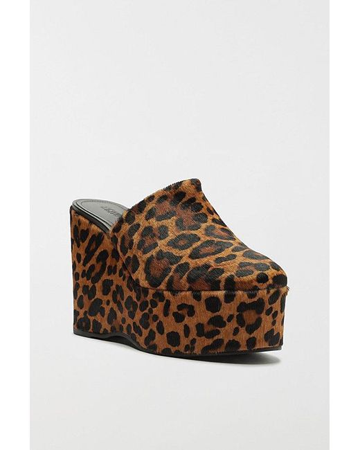 SCHUTZ SHOES Brown Sierra Platform Clog