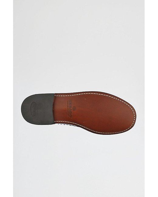 Sebago Black Dan Studs Loafer