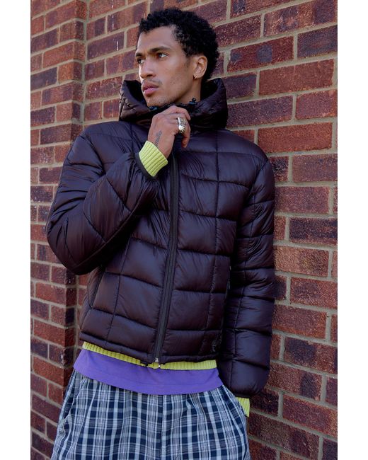 Ayker Purple Pack Puffer Jacket for men