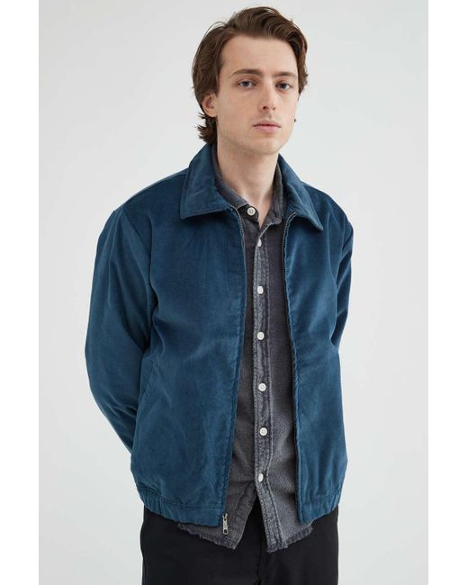 Dickies blue outlet jacket