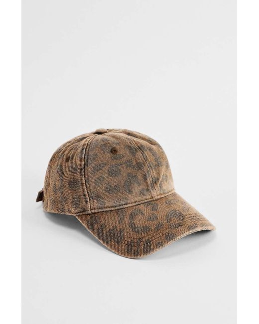 Urban Outfitters Brown Uo Leopard Cap