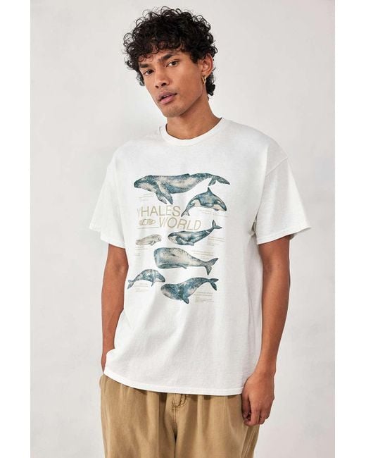 Urban Outfitters Uo White Whales World T-shirt