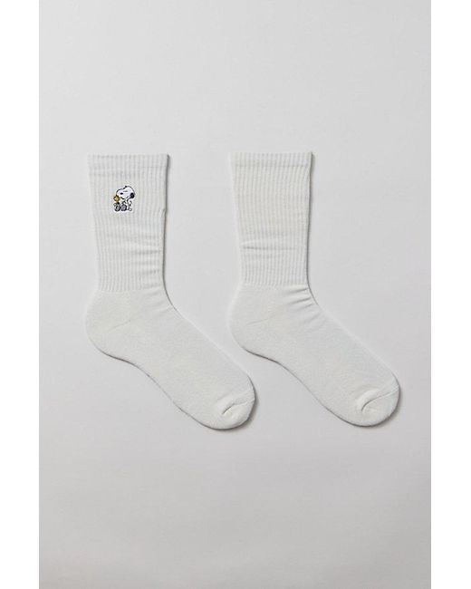 Urban Outfitters Natural Peanuts Snoopy & Woodstock Friends Crew Sock for men