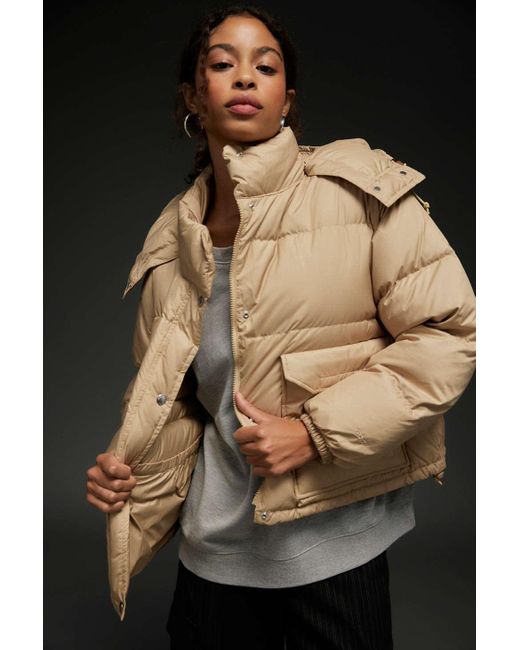 The North Face Sierra '71 Cropped Puffer Jacket In Khaki,at Urban