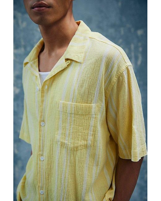 Standard Cloth Green Liam Stripe Pattern Crinkle Shirt Top for men