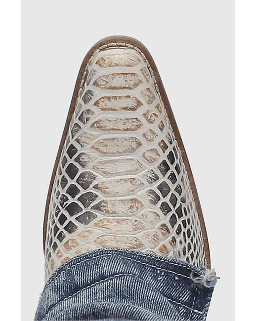 Dingo Blue Shabby Leather Boot