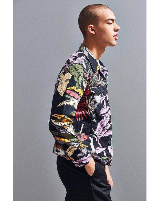 Levis island on sale party jacket