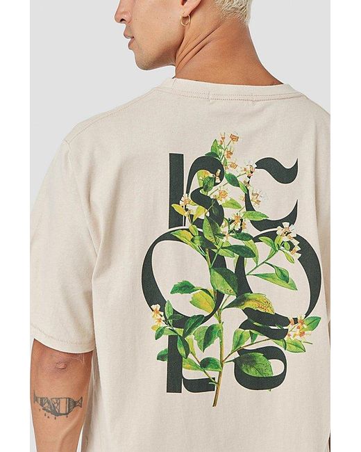 Barney Cools Green Botanic Oversized Recycled Cotton Tee for men