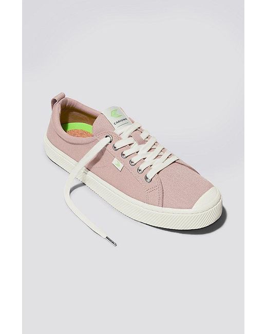 CARIUMA Pink Oca Low Canvas Sneaker for men
