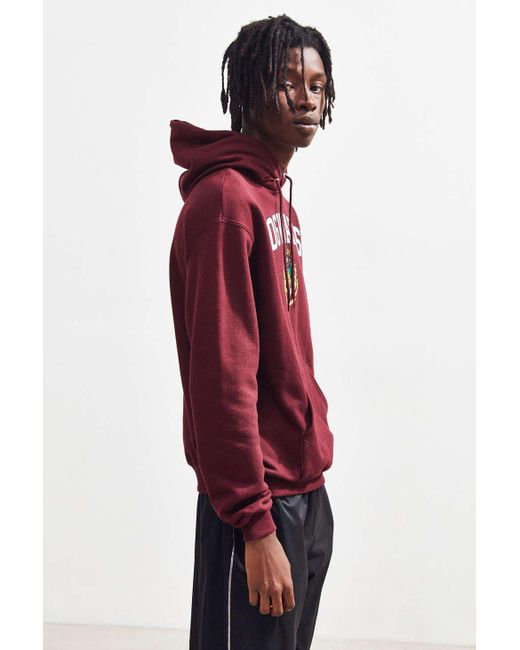 Champion hogwarts cheap hoodie