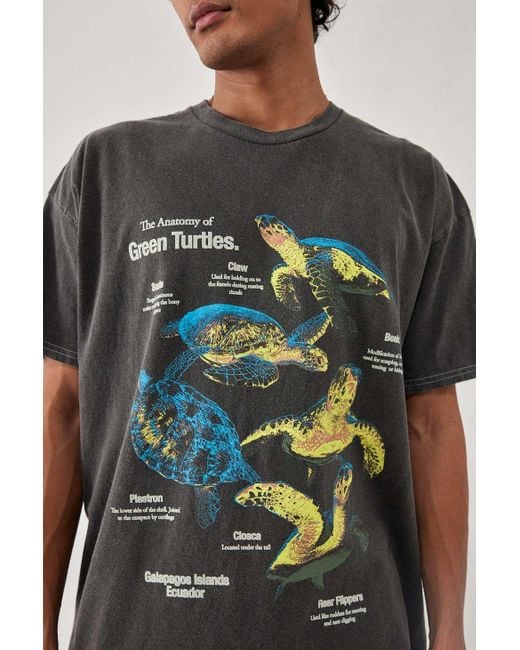 Urban Outfitters Uo Washed Black Turtles T-shirt