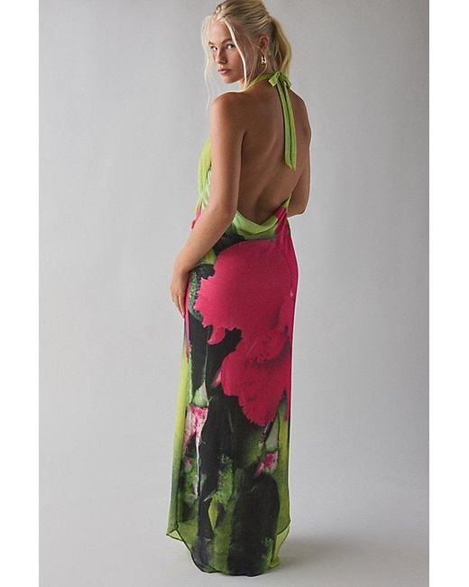 I.AM.GIA Pink I. Am. Gia. Samantha Georgette Plunging Cowl Halter Maxi Dress