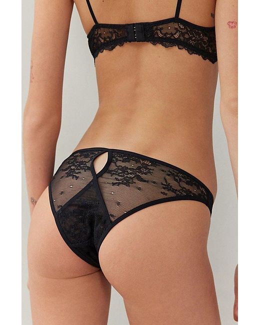 Out From Under Black Budapest Love High Sheer Lace Undie