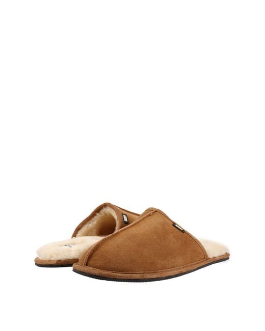 DKNY Brown Castor Slippers for men