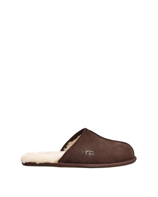 Ugg Brown Scuff Slippers for men