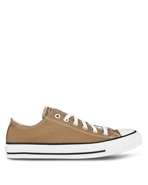 Converse Brown Chuck Taylor All Star Classic Trainers