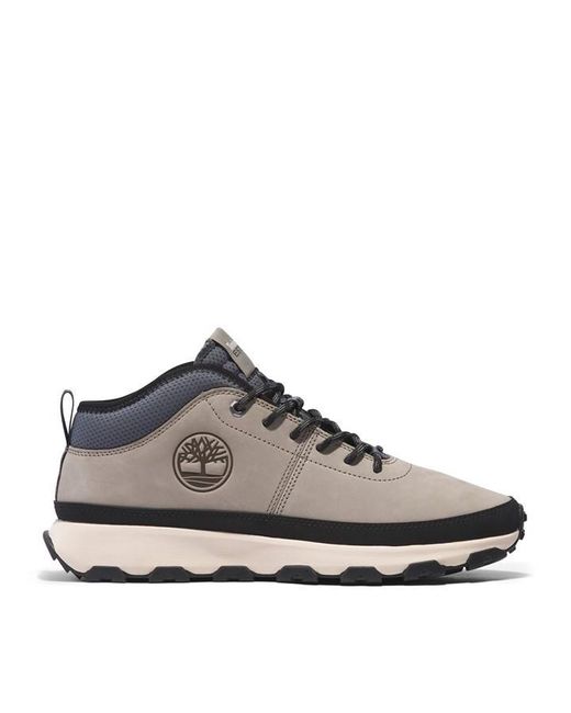 Timberland Brown Winsor Trail Leather Trainer for men