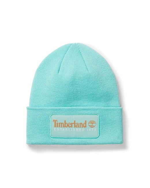 Timberland Blue 50 Years Beanie for men