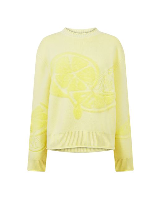 House Of Sunny Yellow Hos Still Life Knit Ld33