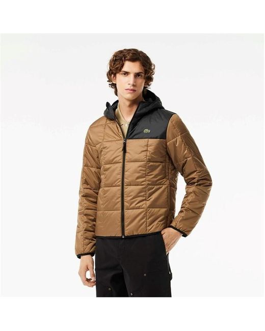 Lacoste Brown Acote Bh1666 Jacket for men