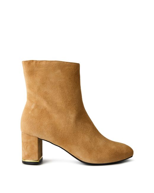 Ted Baker Brown Noranas Ankle Boot