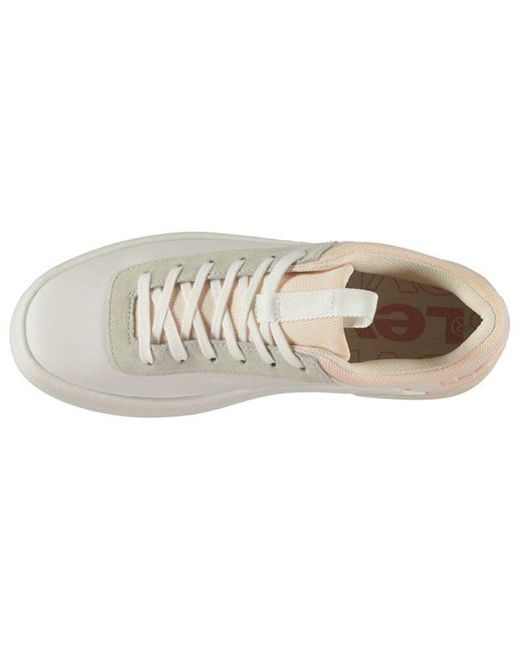 pink levis shoes