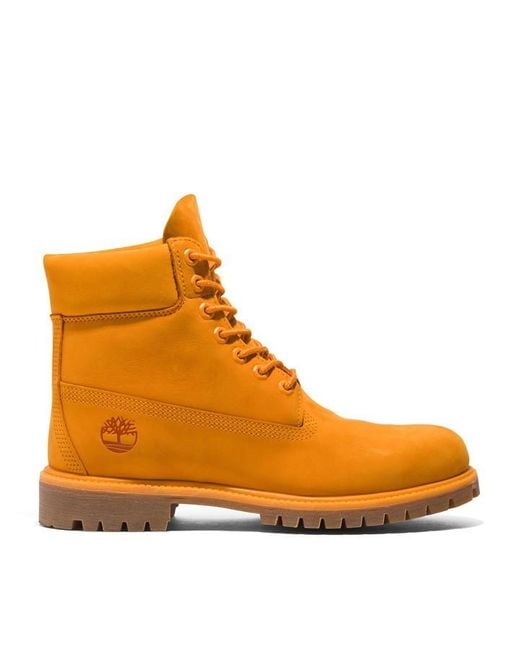 Timberland Orange 6 Inch Premium Boots for men