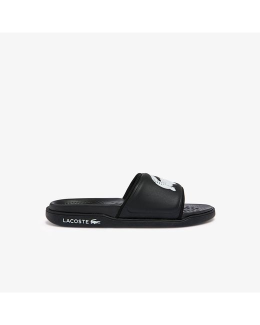 Lacoste Black Croc Dua0922