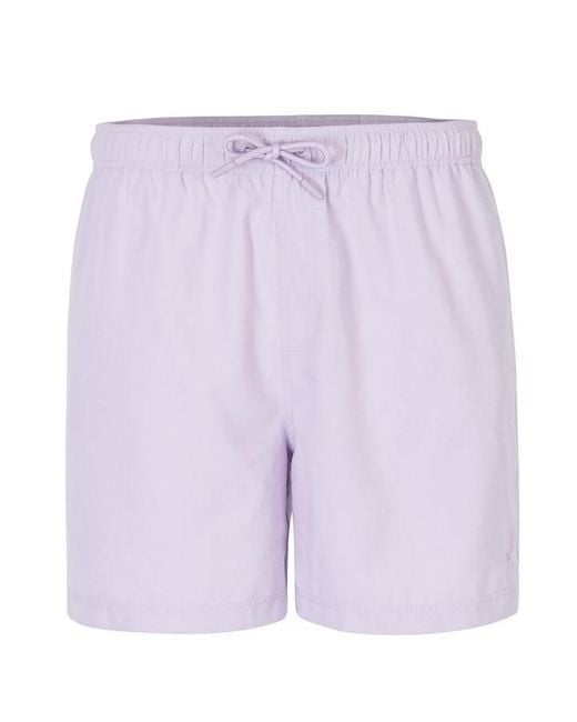 SoulCal & Co California Purple Signature Swimshorts for men