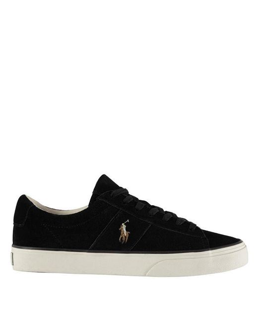 Polo Ralph Lauren Black Sayer Suede Trainers for men