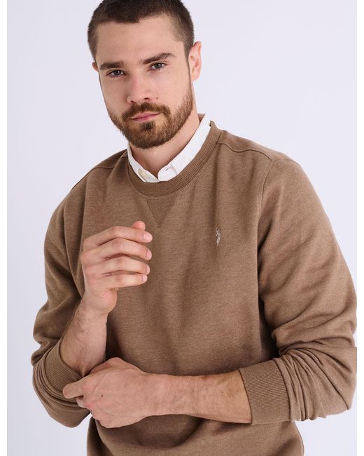 U.S. POLO ASSN. Blue Solid Peached Fleece Crew Neck Pullover for men