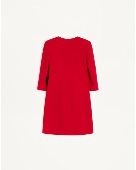 Valentino ファイユリボン キャディクチュール ショートドレス 女性 パリス/ブラック Red