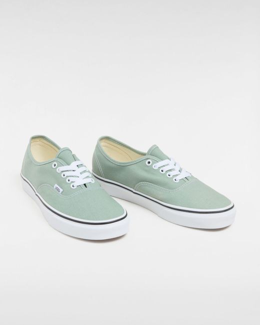 Vans Gray Color Theory Authentic Schuhe