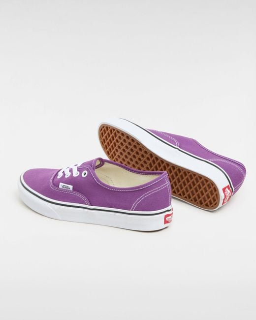 Vans Purple Authentic Color Theory Schuhe