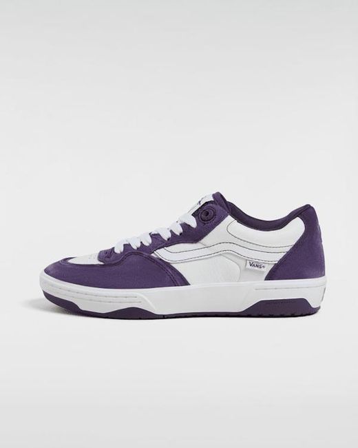 Vans Blue Skate Rowan 2 Shoes for men