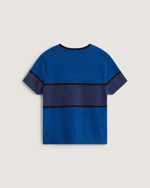 Vans Blue Blocked Ss Sweater Classic
