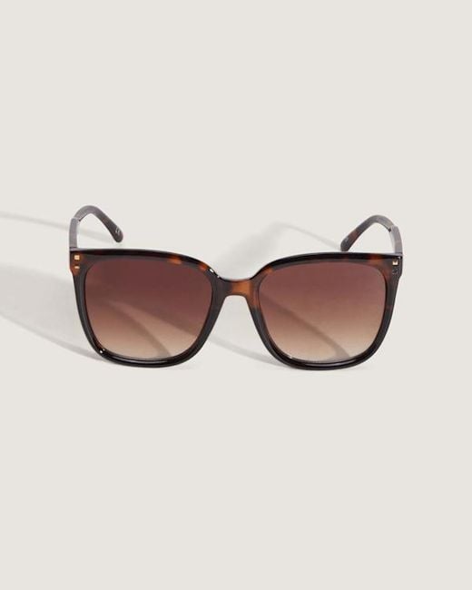 Vans Brown Gilpin Sunglasses for men