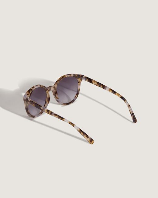 Vans Brown Rise And Shine Sunglasses for men